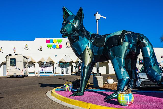 Meow Wolf with Wolf Santa Fe